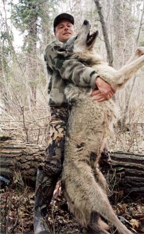 a hunter holding a deid wolf