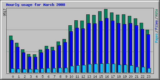 Hourly usage for March 2008
